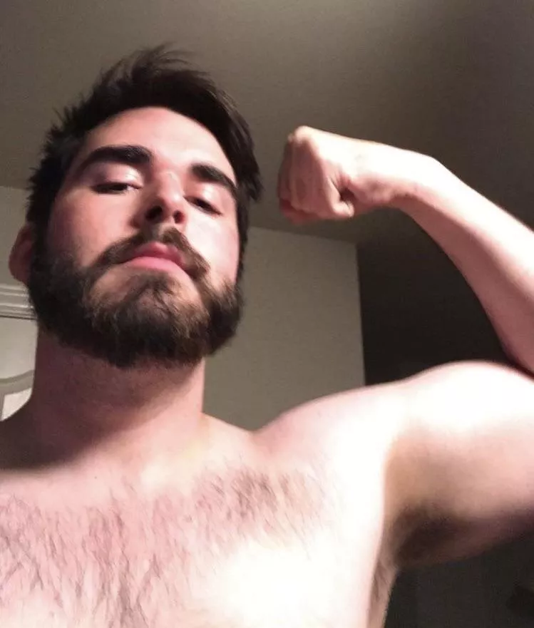 gun show’s in town