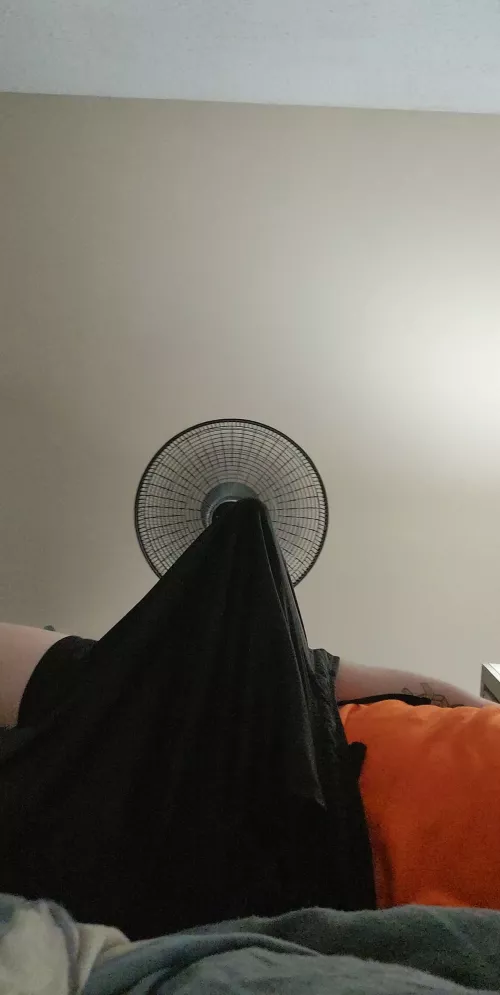 Gym shorts sure can stretch