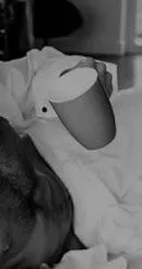 Had an early Zoom session. Crawled back in bed, dress shirt and coffee… out of focus on several levels this morning. Willing the optimism… leaning hard