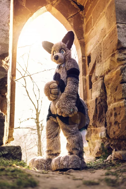 had lots of fun at castle ruins in france, lovely photo taken by areksim :)