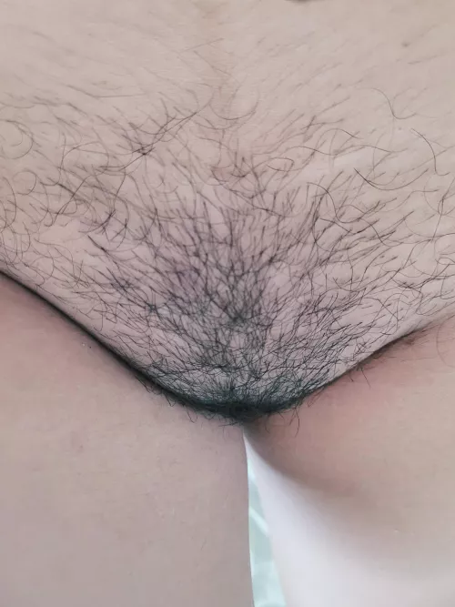 Had my pussy waxed now I'm growing it out