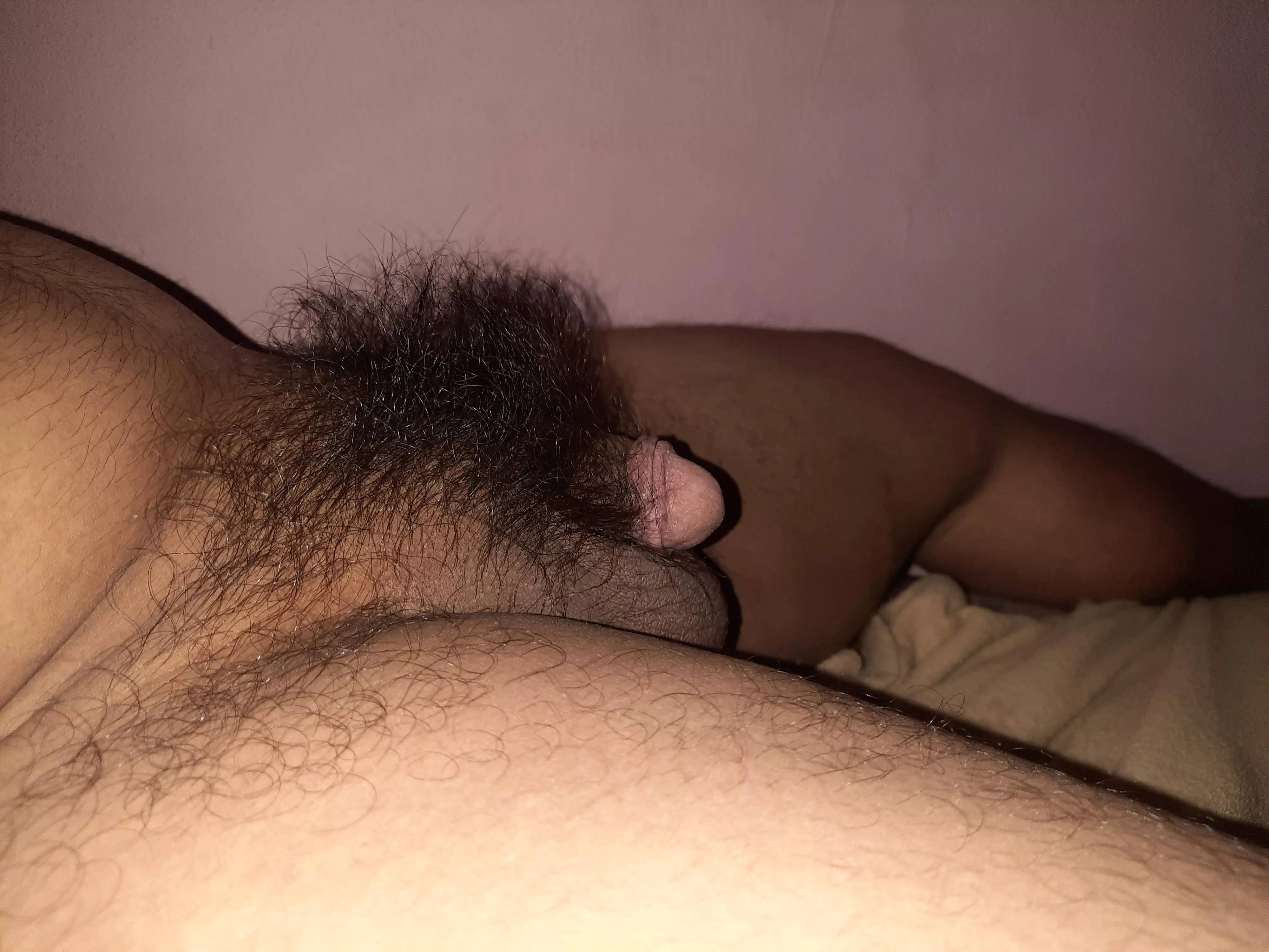 Hairy Asian Cock