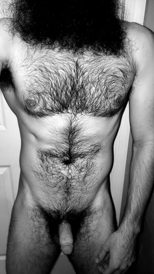 hairy bear was a fuzzy