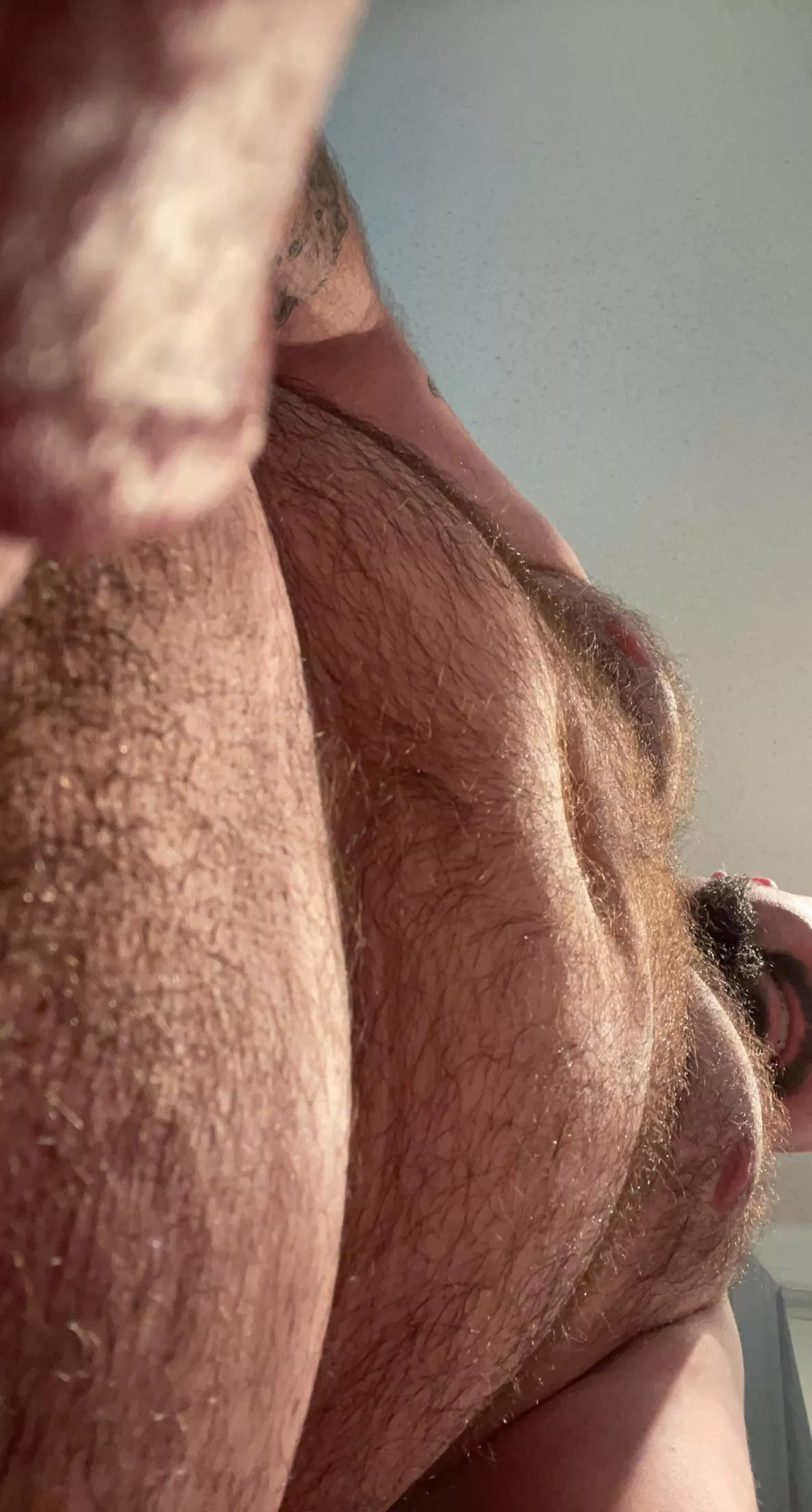 Hairy bits…