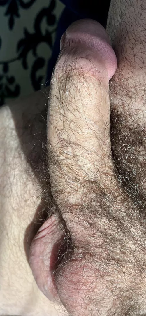 Hairy shaft king