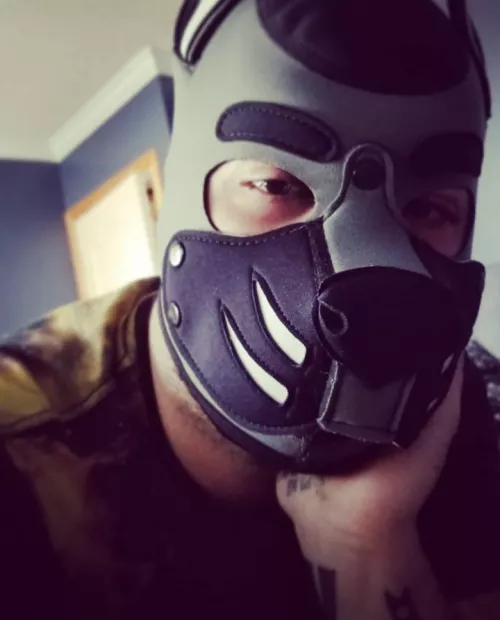 Happy 420 everybody, am very stoned doggo