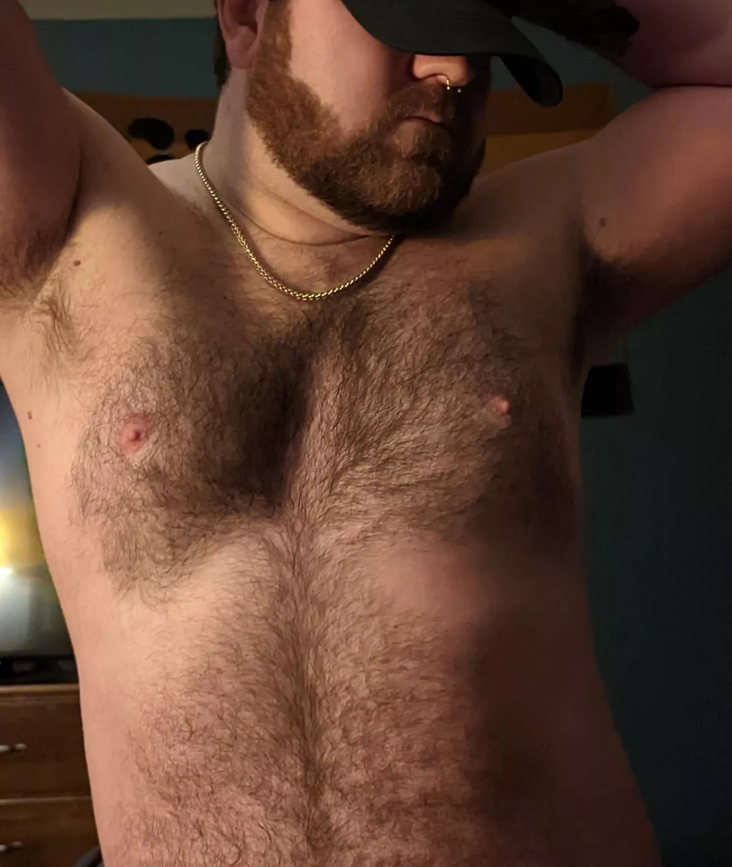 🐻 Happy Evening 👋