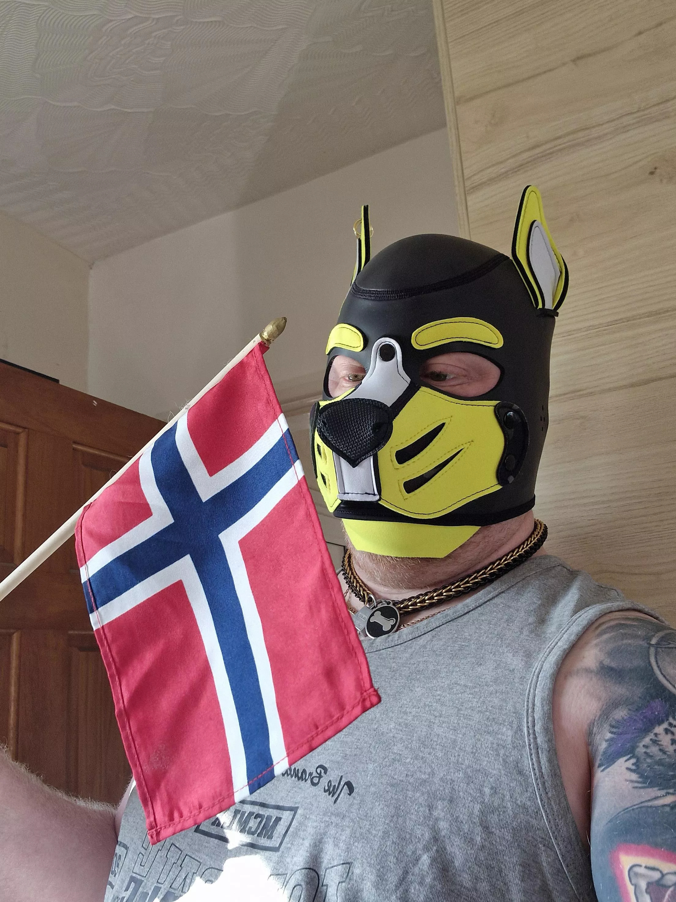 Happy Norways constitution day 🇧🇻