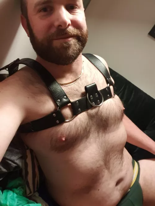 Harness on for the first time in ages. Feeling good.
