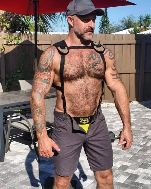 harnessed