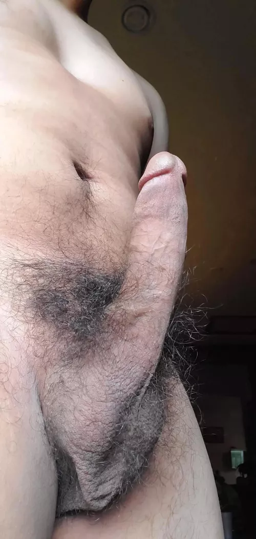 haven't shaved in years