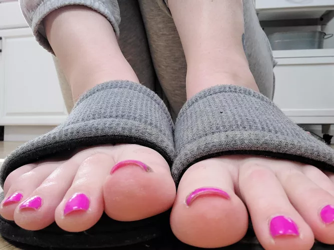 Hello down there! if you would be so kind and shove my size 14.5 massive feet in your face ❤❤❤