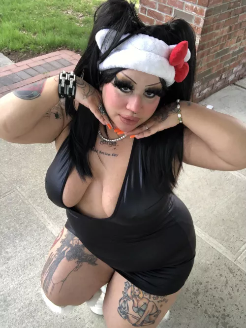 Hello kitty kitten πΎ