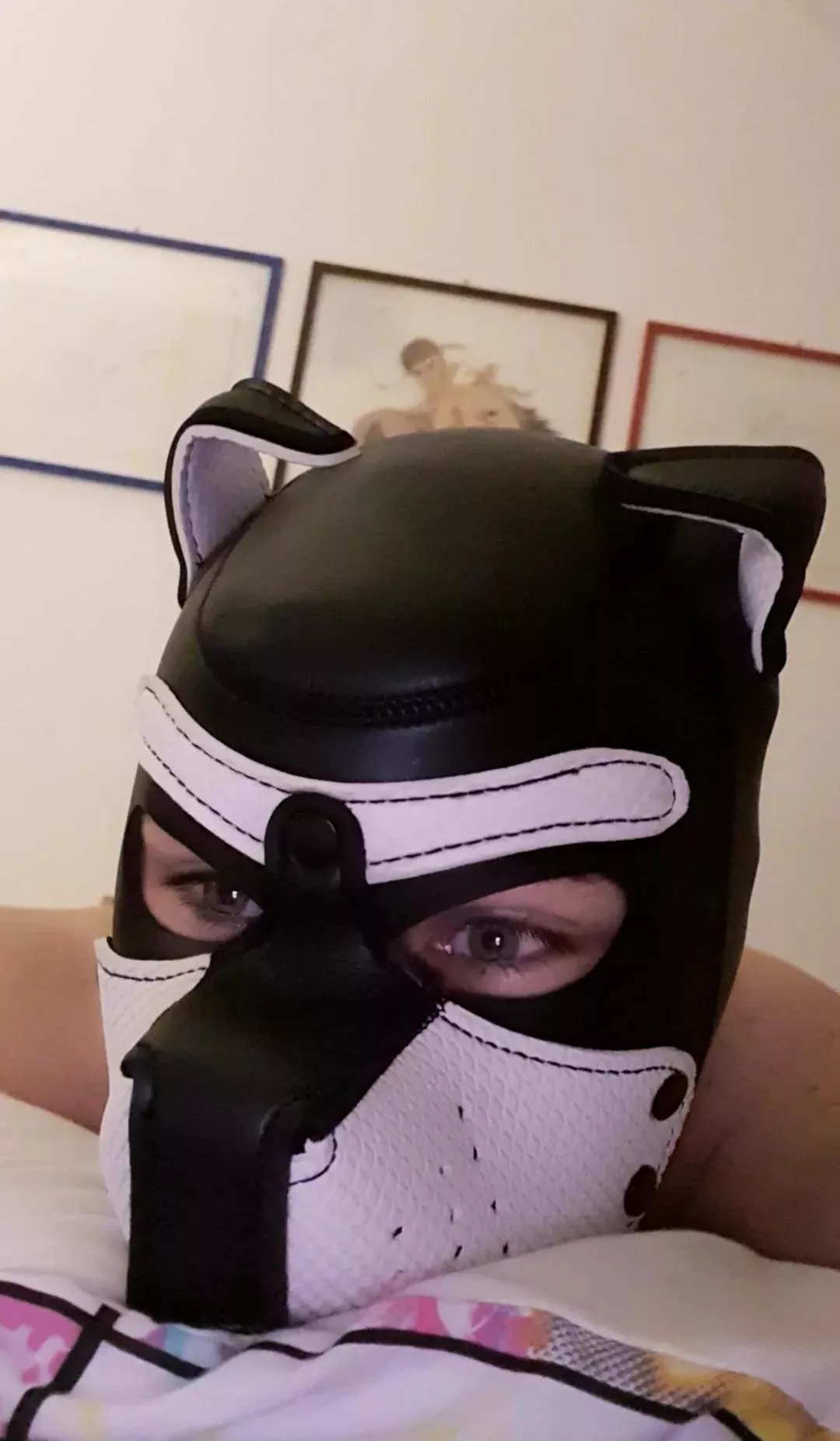 help me... I need some cuddles😶