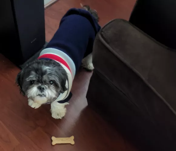 Hes so precious 🥺