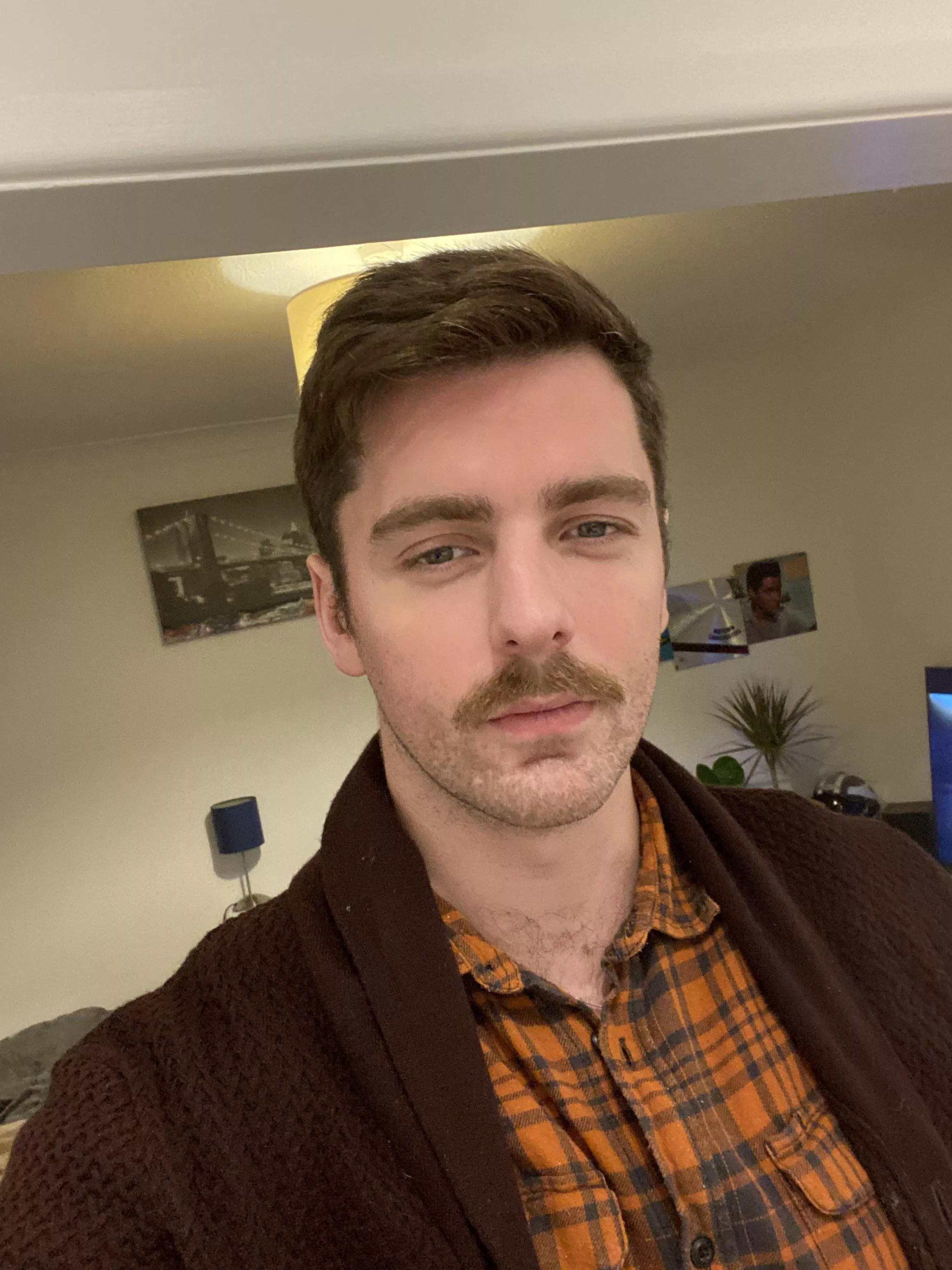 Hidily ho, I’m still in autumn mode