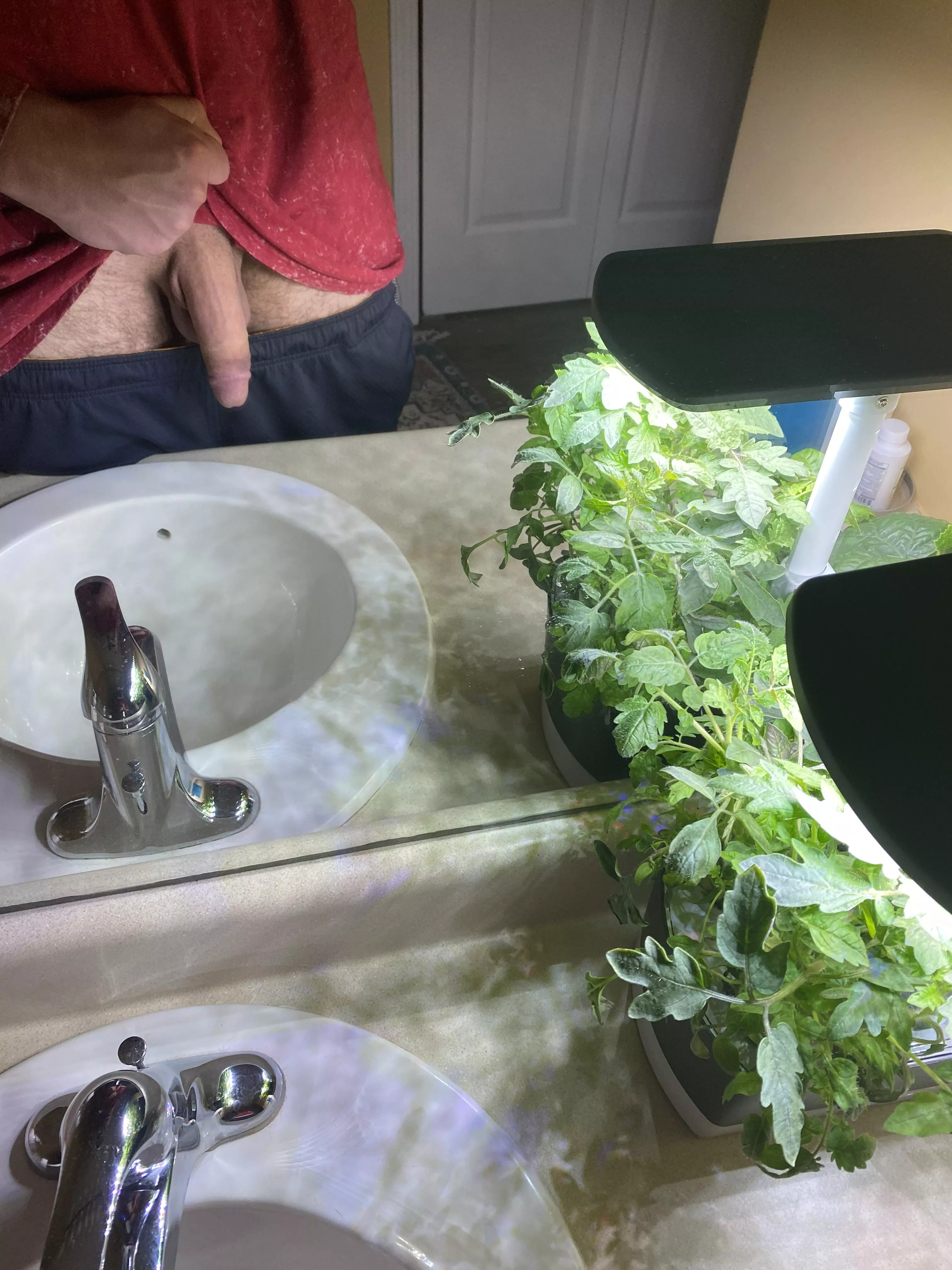 Hiding behind the plants.