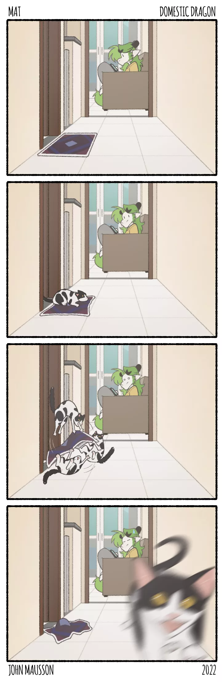 His name is Pierre 🐱