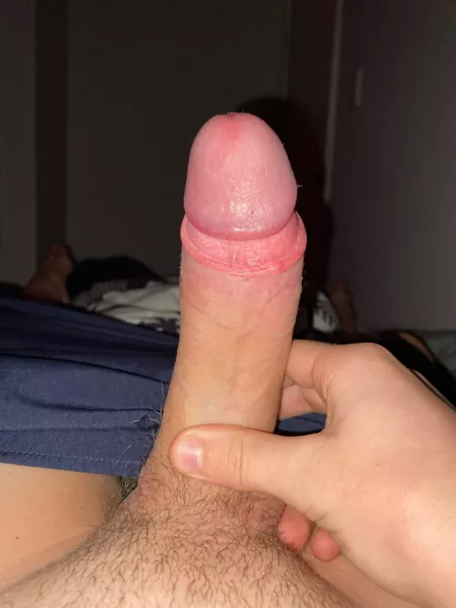 Honest opinions?