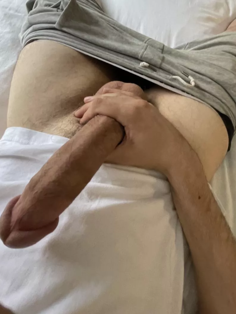 honest rates please x