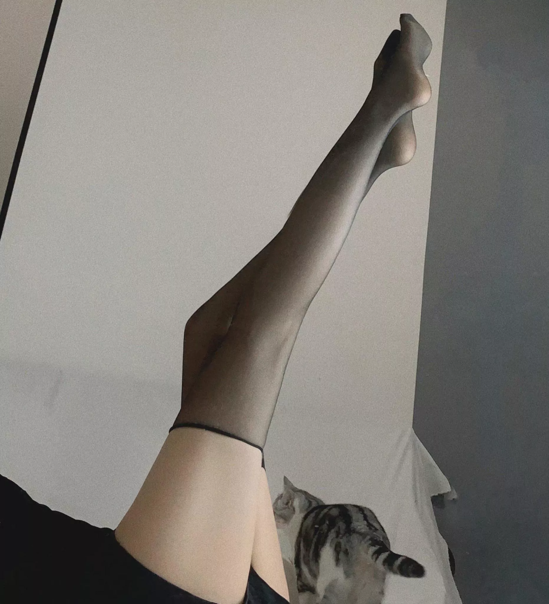 hope u like my legs