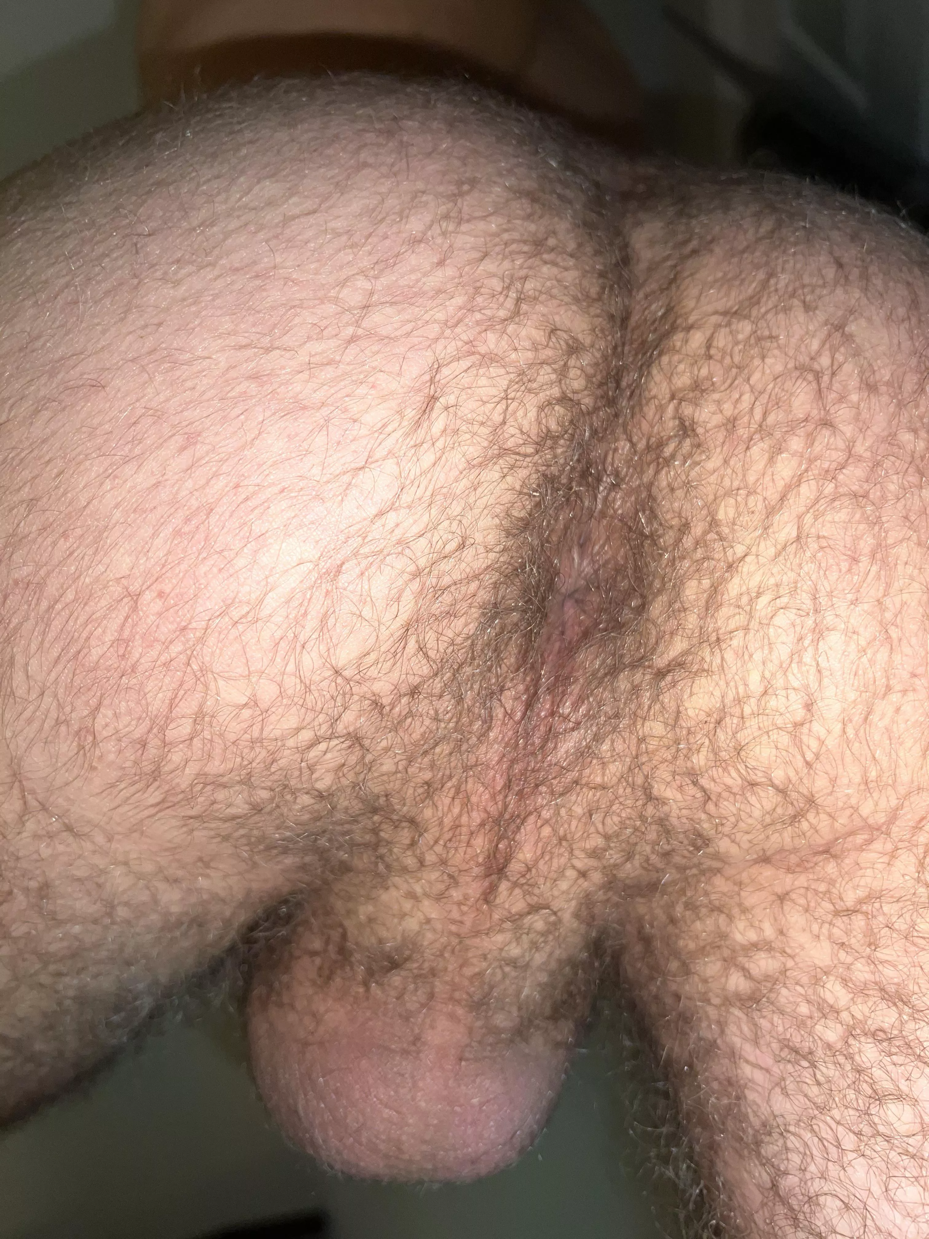 hope you don’t mind a little fur…