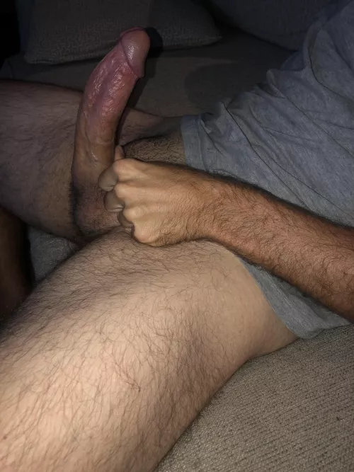 How do you like my curve?