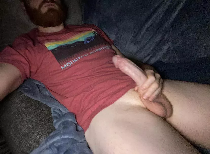 How’s my beard? [36]🧔