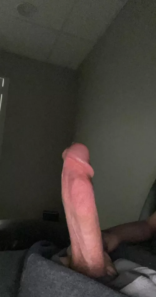 How’s my horny virgin cock?