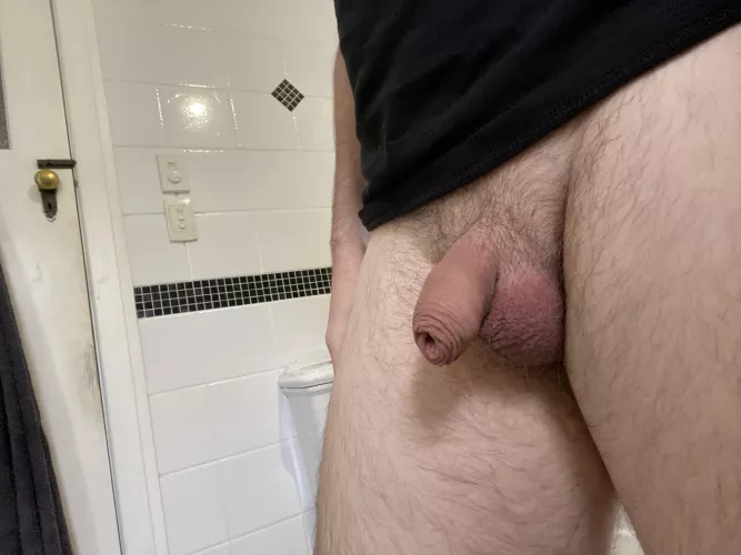How’s my softie boys?
