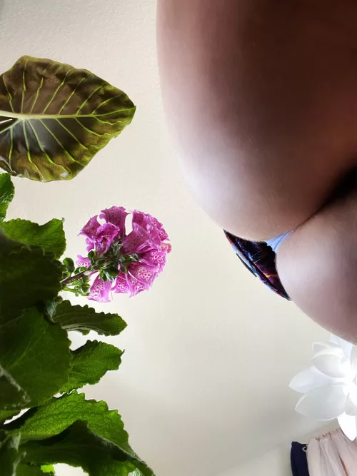 How’s the view down there