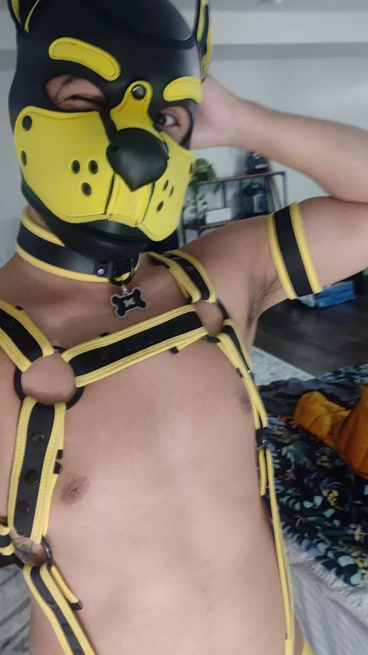 Hump day awrooorooorooo 😁😁. Can't wait for the weekend!