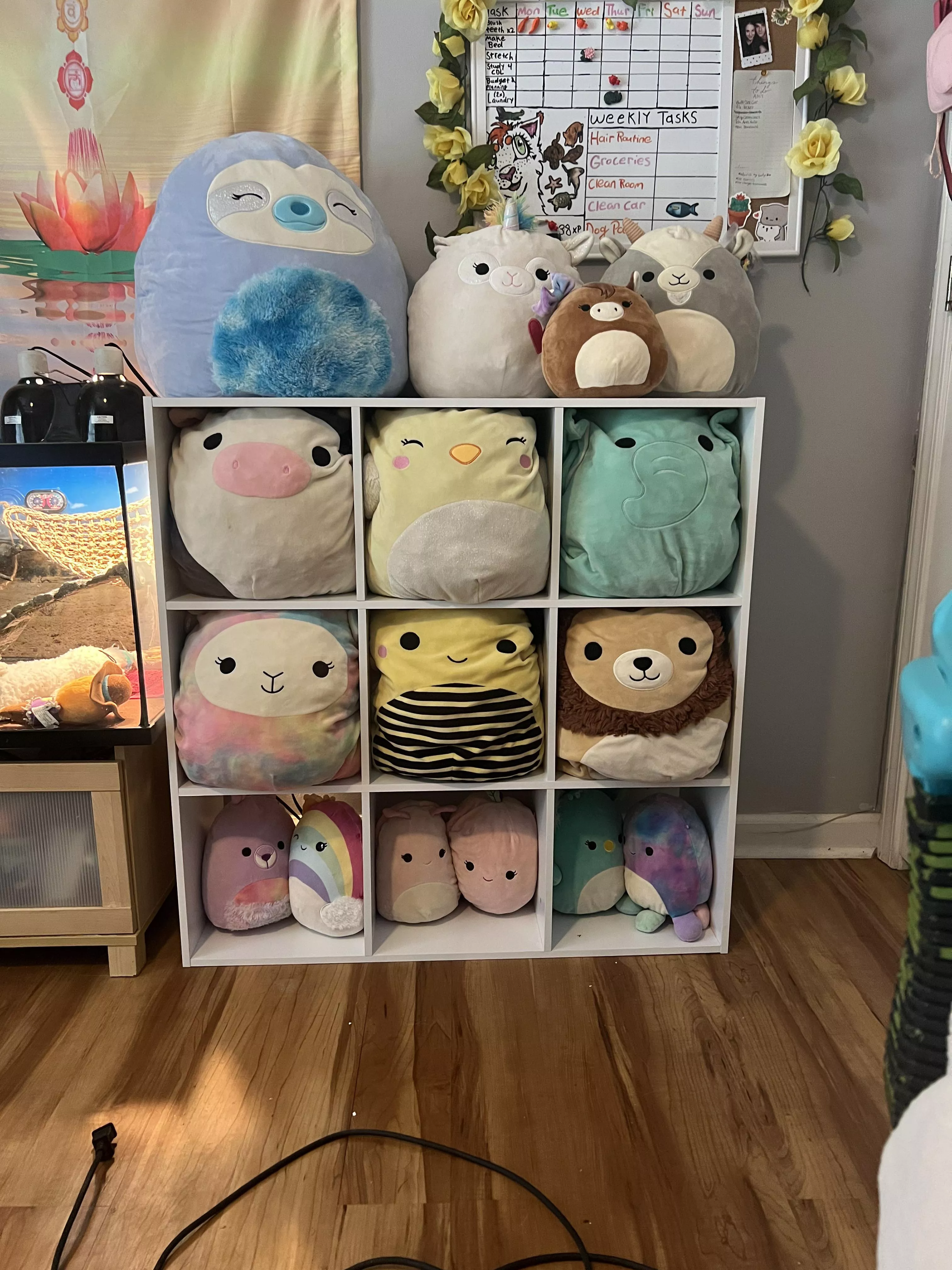 I bought and assembled a 9 cubby shelf just for my Squishmallows… ✨🐻