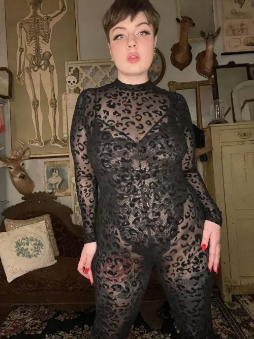I bought this cat suit and now I don’t know how to act anymore