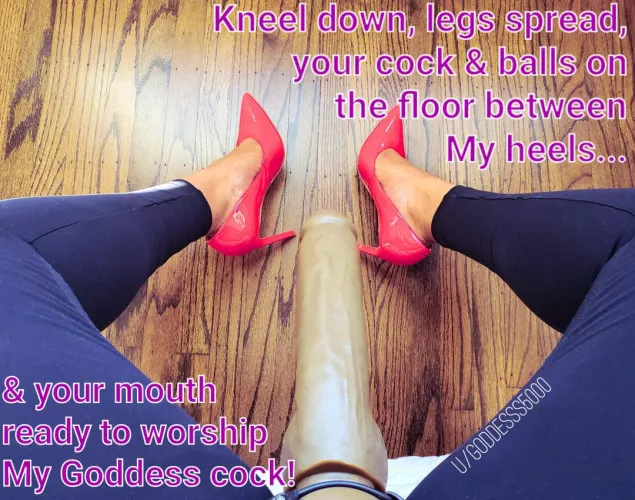 I can tell you are eager to worship this Goddess cock! 😈