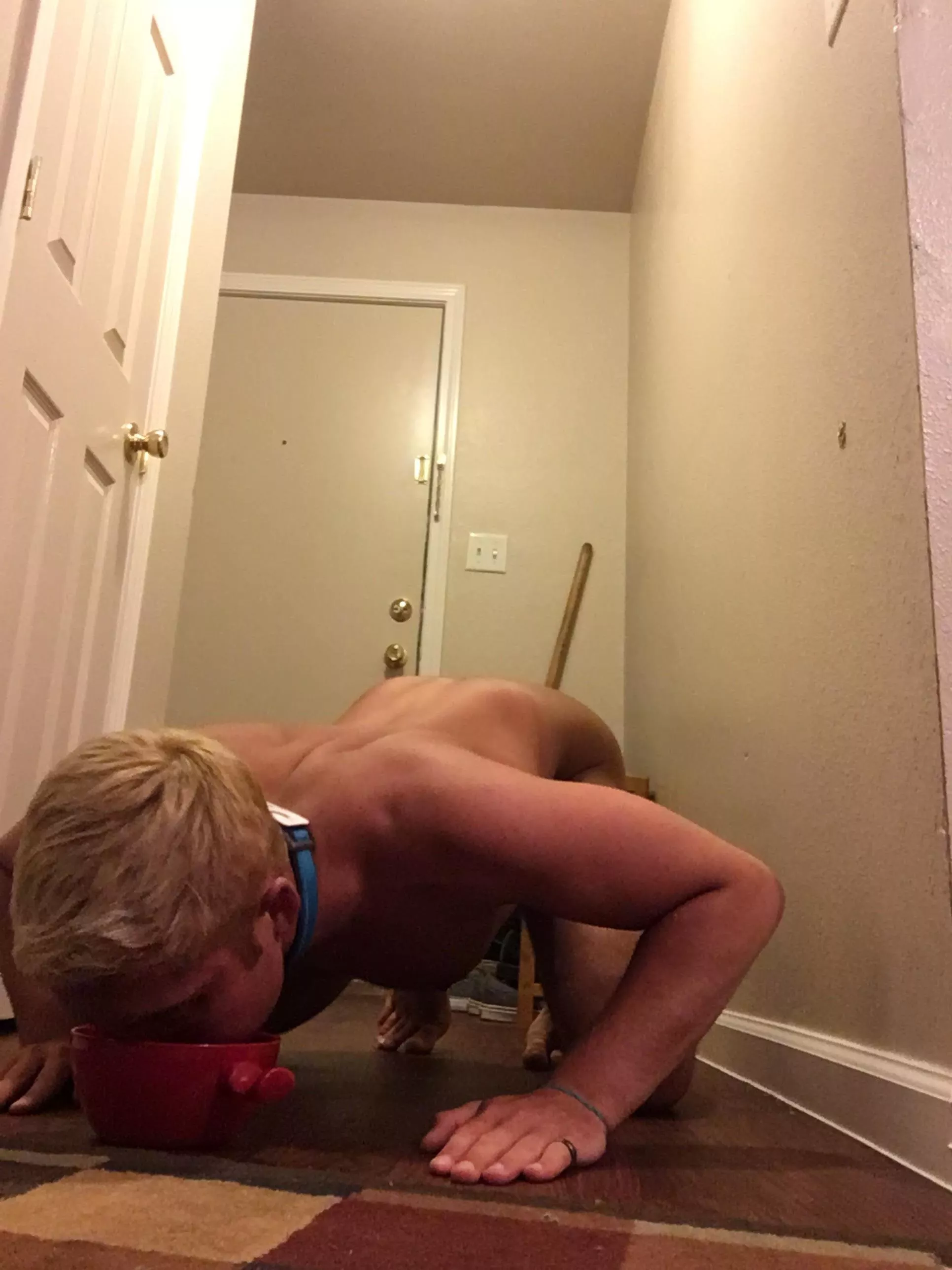 I don’t care what anyone says! This is the best way to eat & drink 🐶