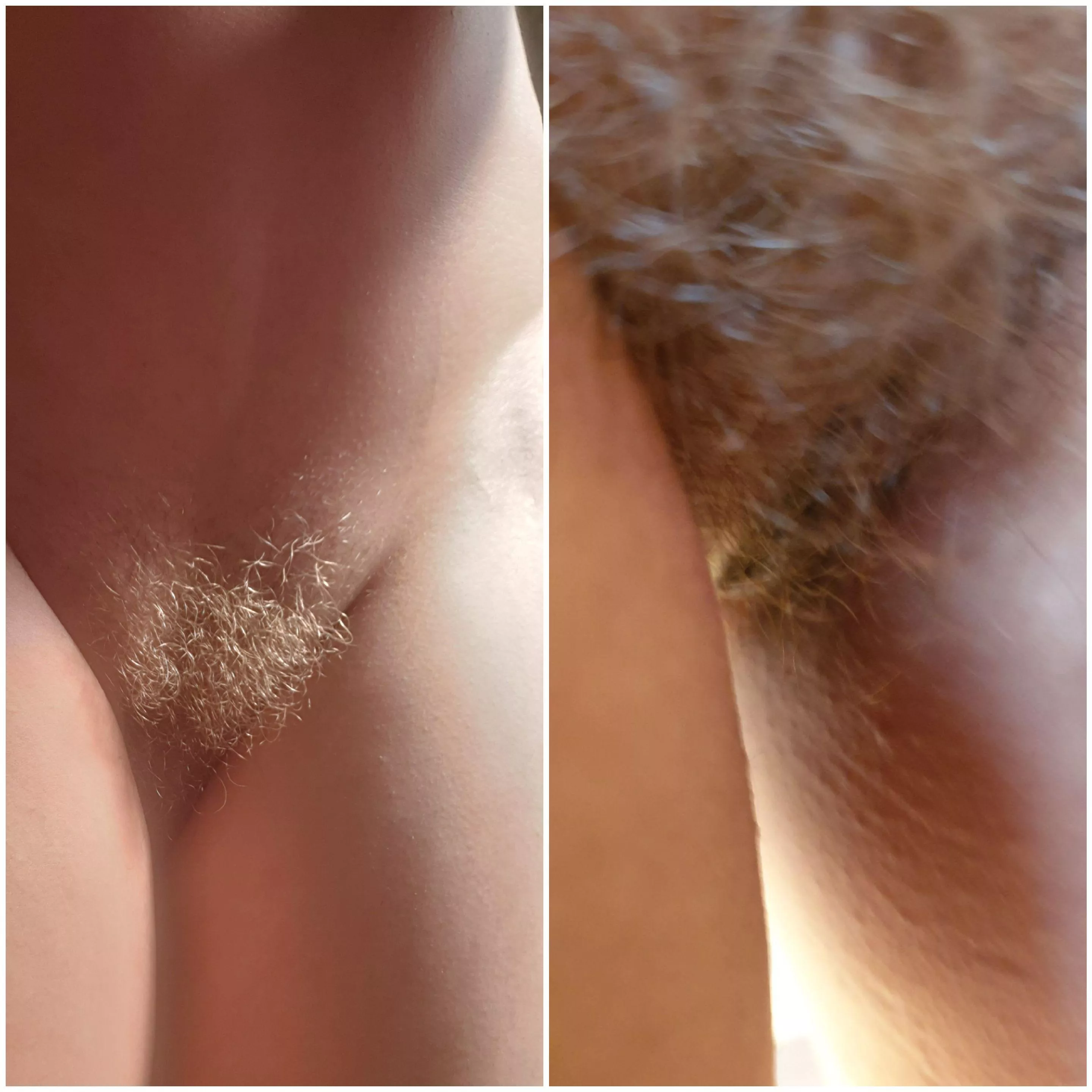 I don't think my bush needs a creative caption ...it's a statement all in itself #blondebush #hairpositive #natraulblondebushnz #nattiebush