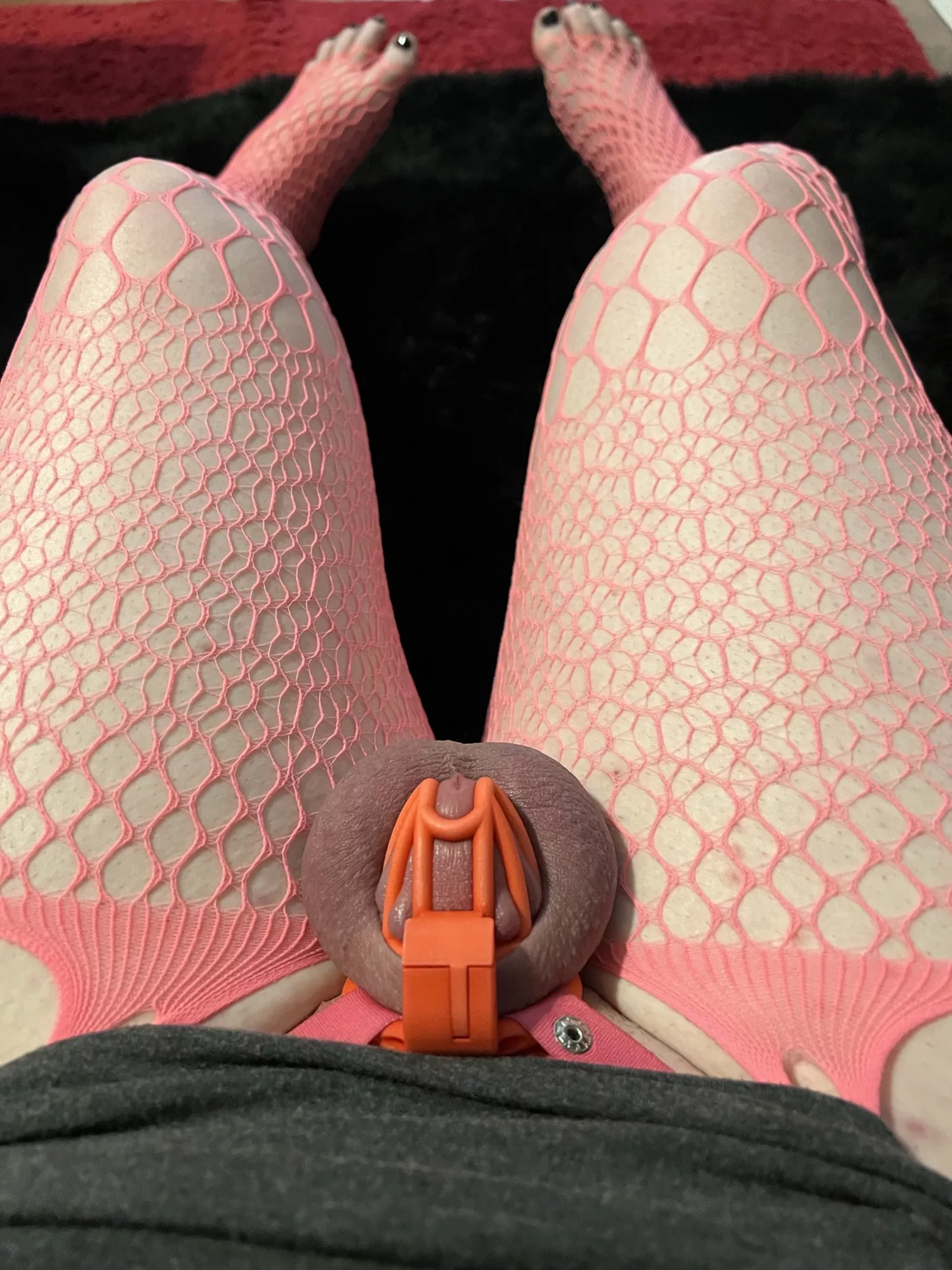 I enjoy variety! So I put on different cage almost every day. Or should I keep this one on for longer?🤔