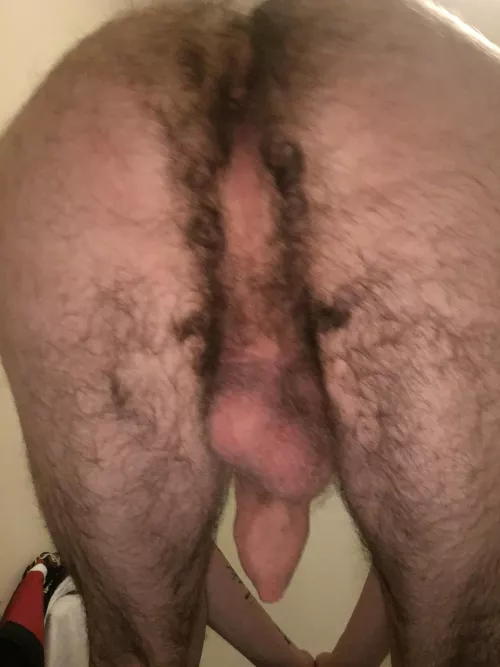 I get inseucre about my hairy ass is this any good?