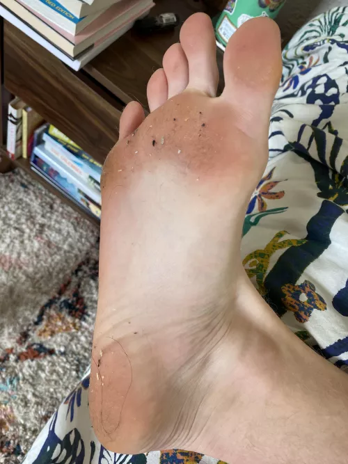 I have something that could use your attention.