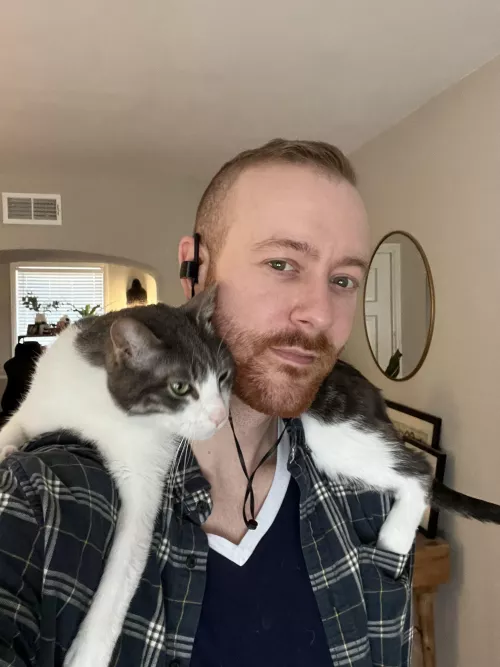 I have the clingiest colleague 🐱