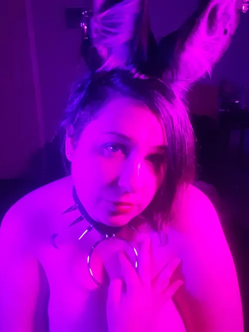 I have the prettiest new ears! Don't you wanna pet me?