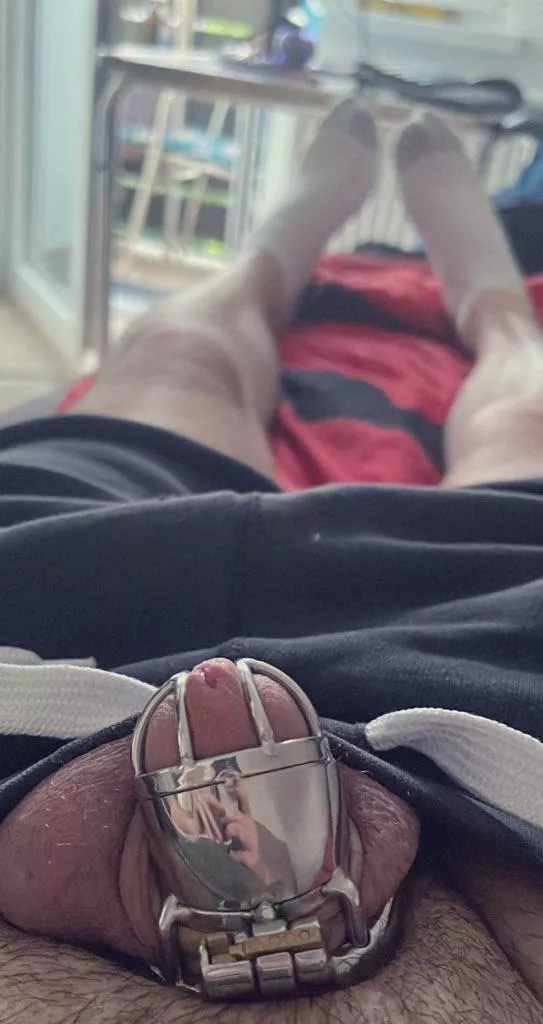 I just want my dick in a cage to remind me not to have a dick at all.