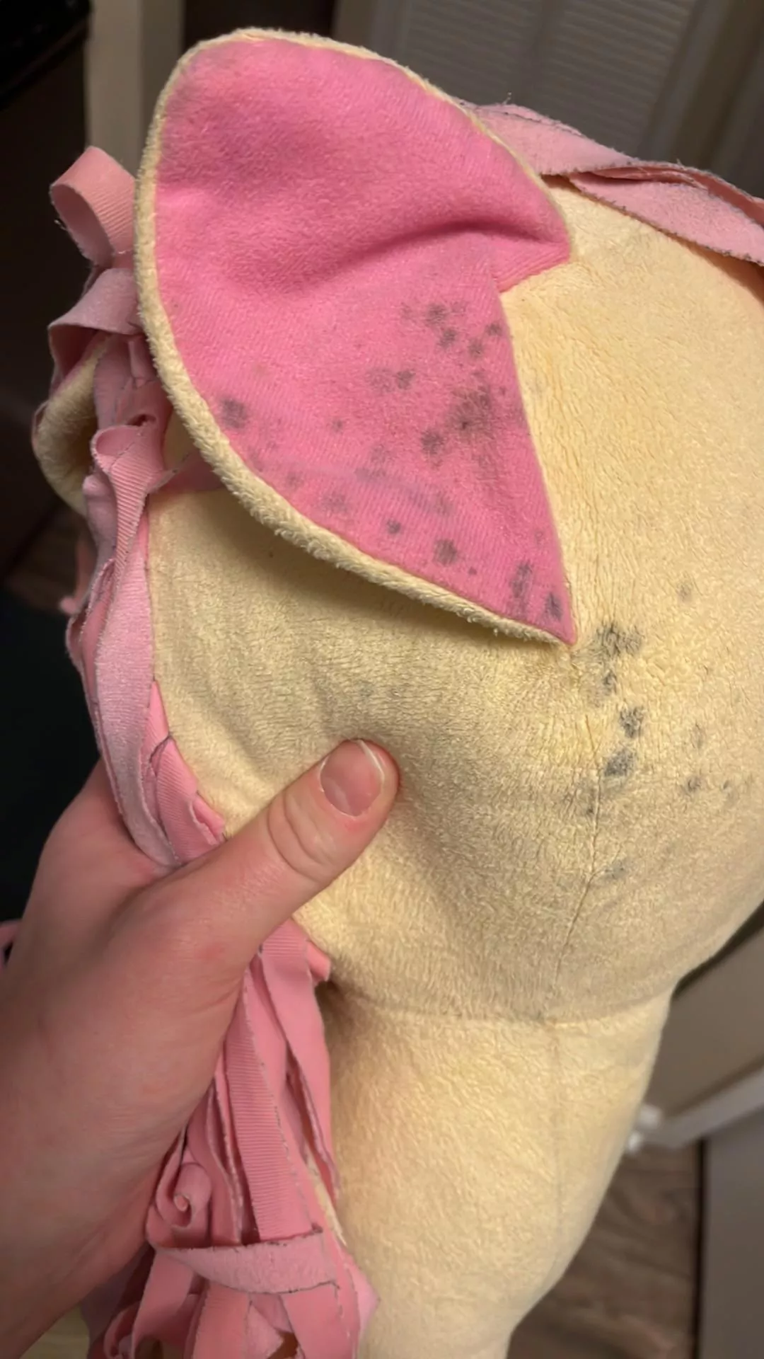 I just went to pick her up and it looks like she has a mold I don’t know if I need to toss her I put her in the washer and it didn’t do anything I’m just so sad I don’t wanna have to get rid of her but I don’t know how to clean her properly