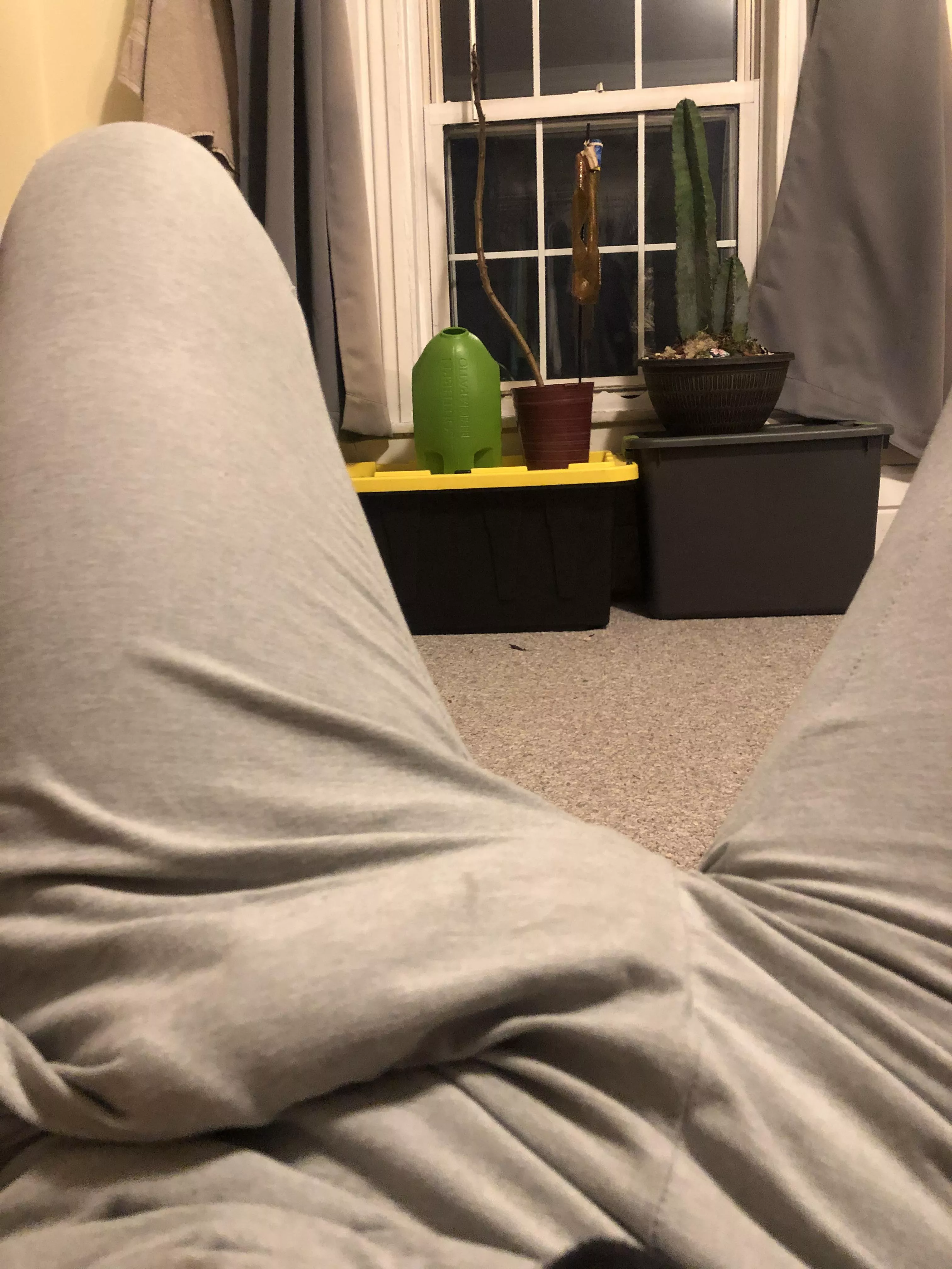 I keep catching my roommate staring… can’t figure out why?