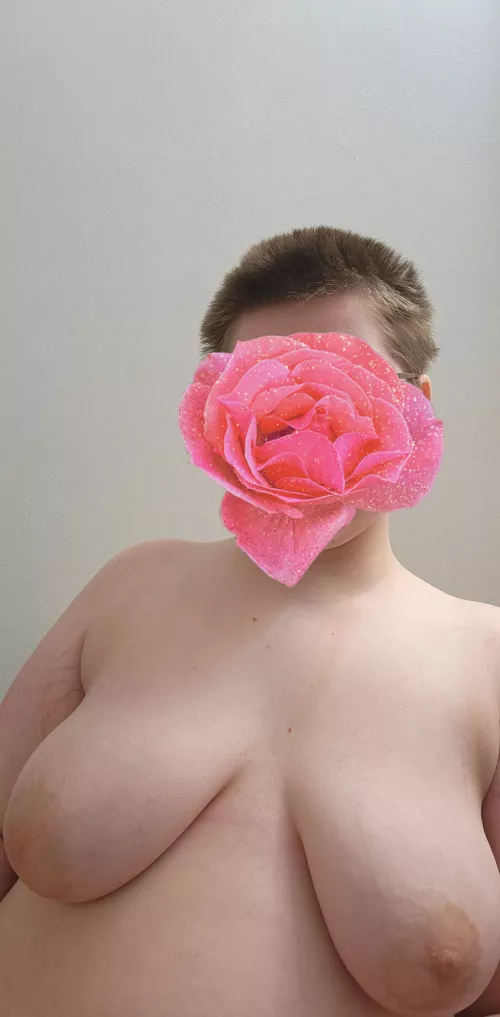 I love being a shorthaired princess 👑