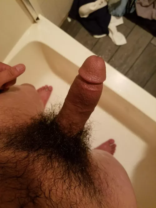 I love my hair and my cock! what do you think of it?