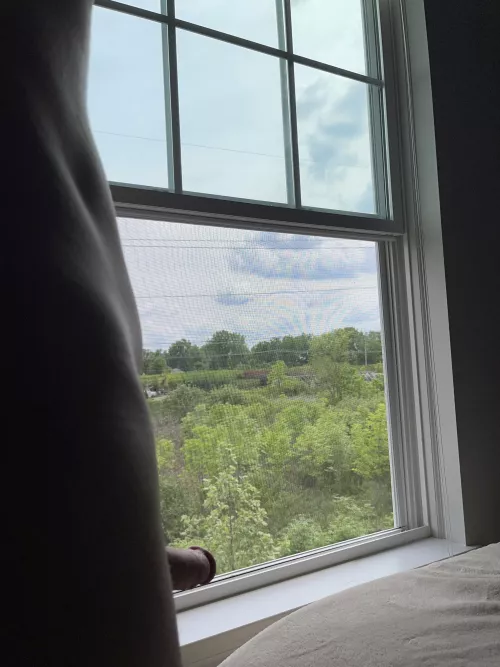 I love when it’s green outside.