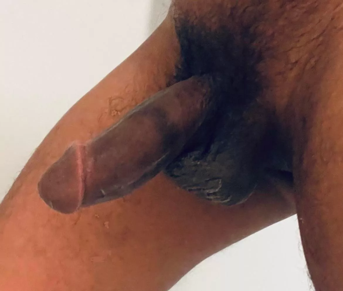 I need a good white sissy