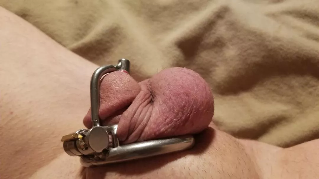 I need a smaller cage